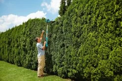 Gardena Heggenschaar HighCut 48 7 Gardena Heggenschaar HighCut 48 -Reinigingsgereedschap 14164126558118880 20 horizontaal